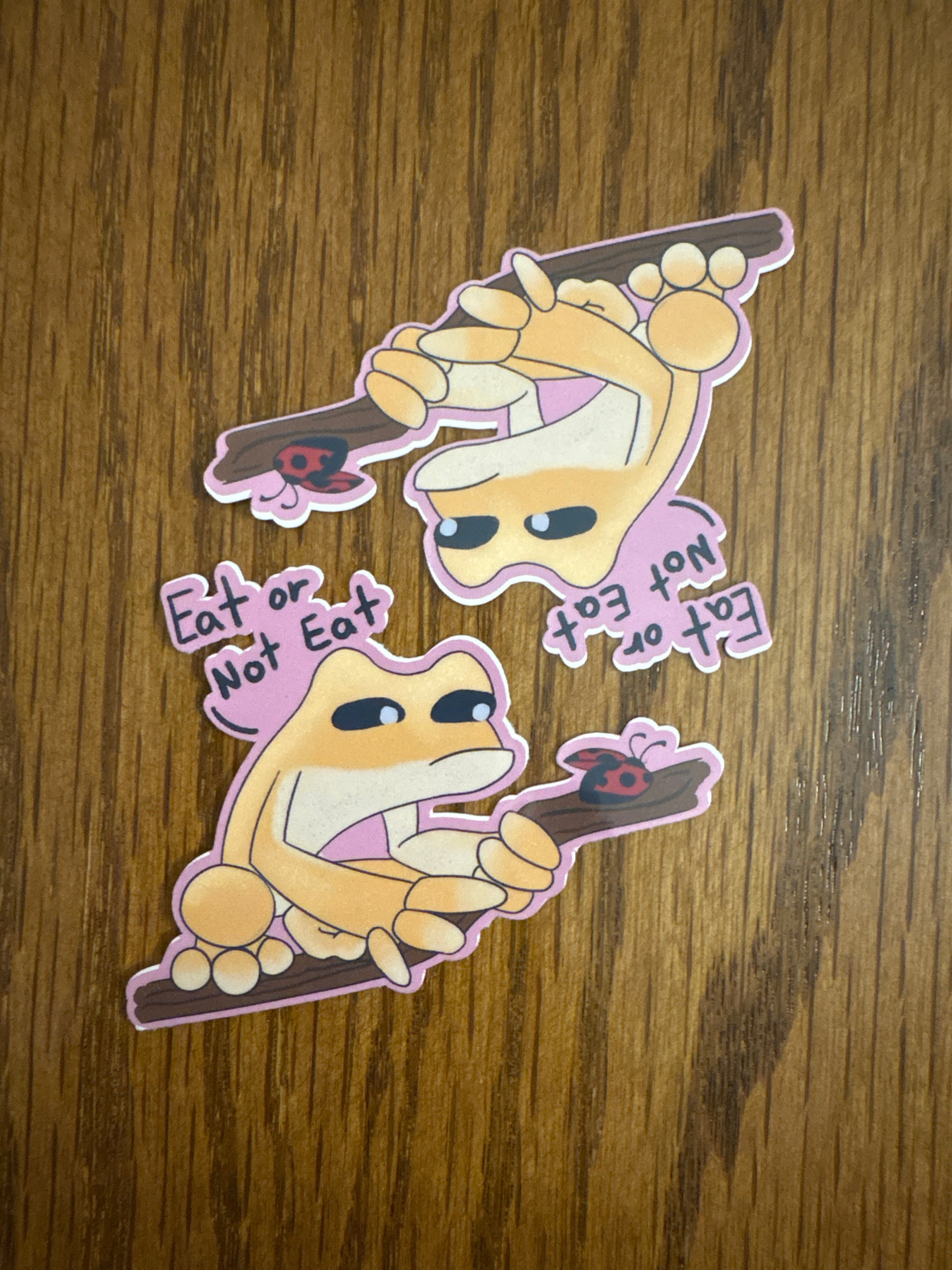 Dilemma Frog - Premium Vinyl Decorative Sticker