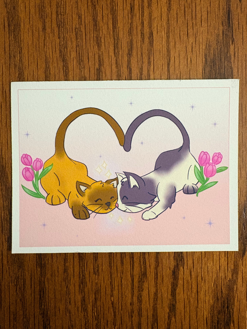 Valentines Cat Lovers Postcard