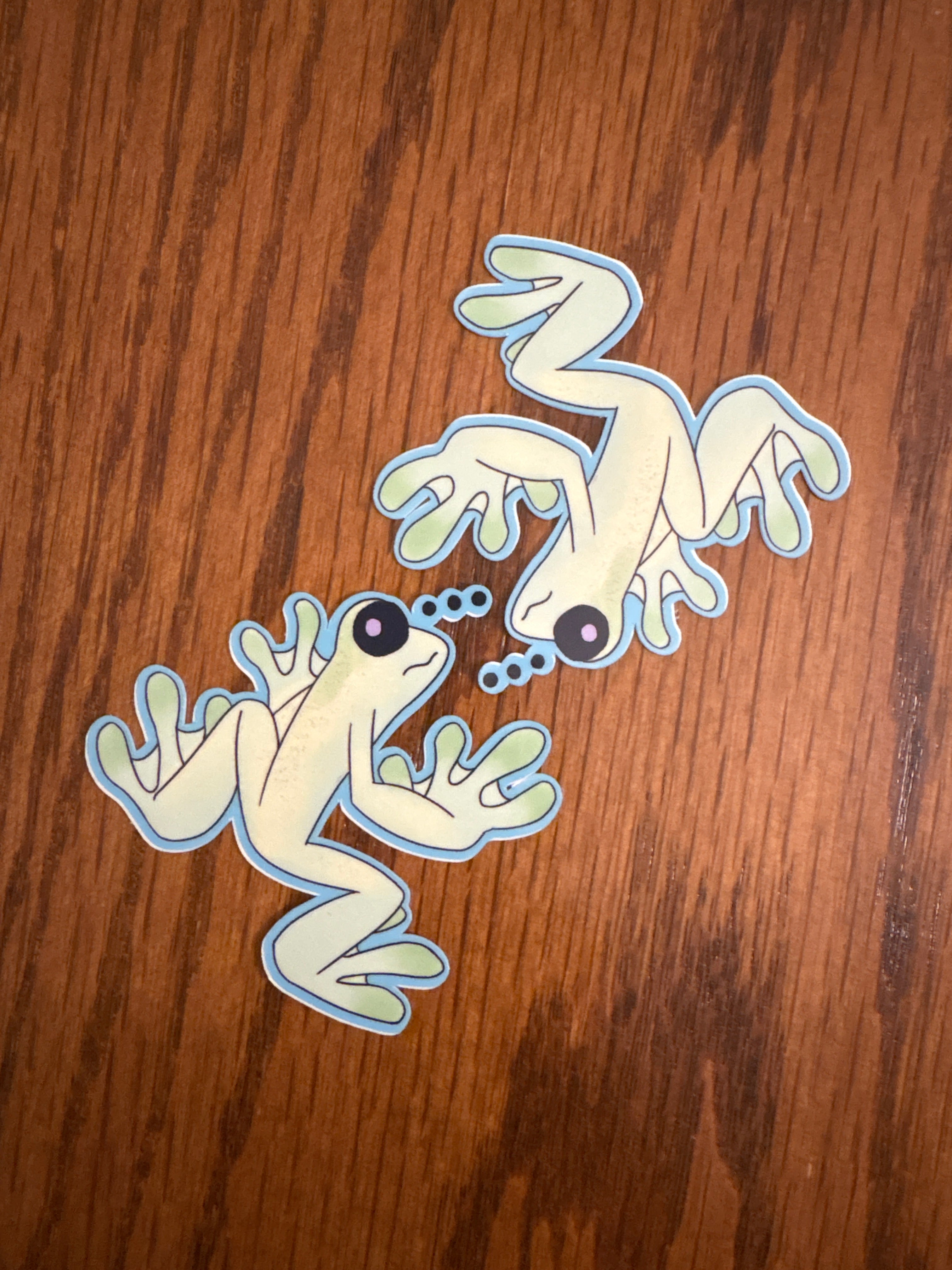 Glass Frog - Premium Vinyl Decorative Sticker