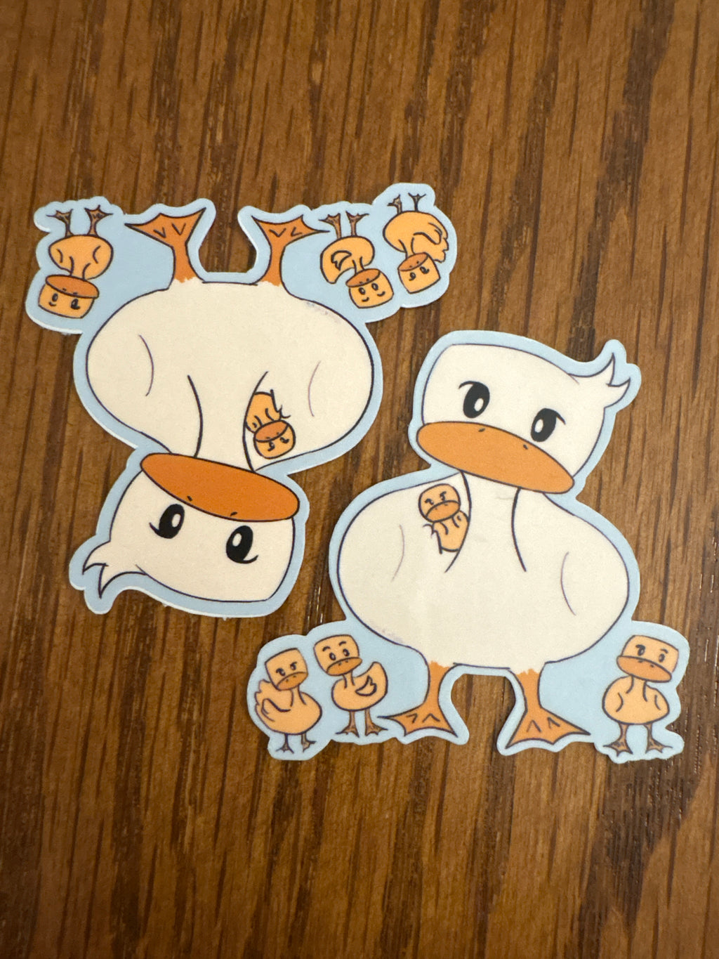 Confused Ducks - Premium Vinyl Decorative Sticker