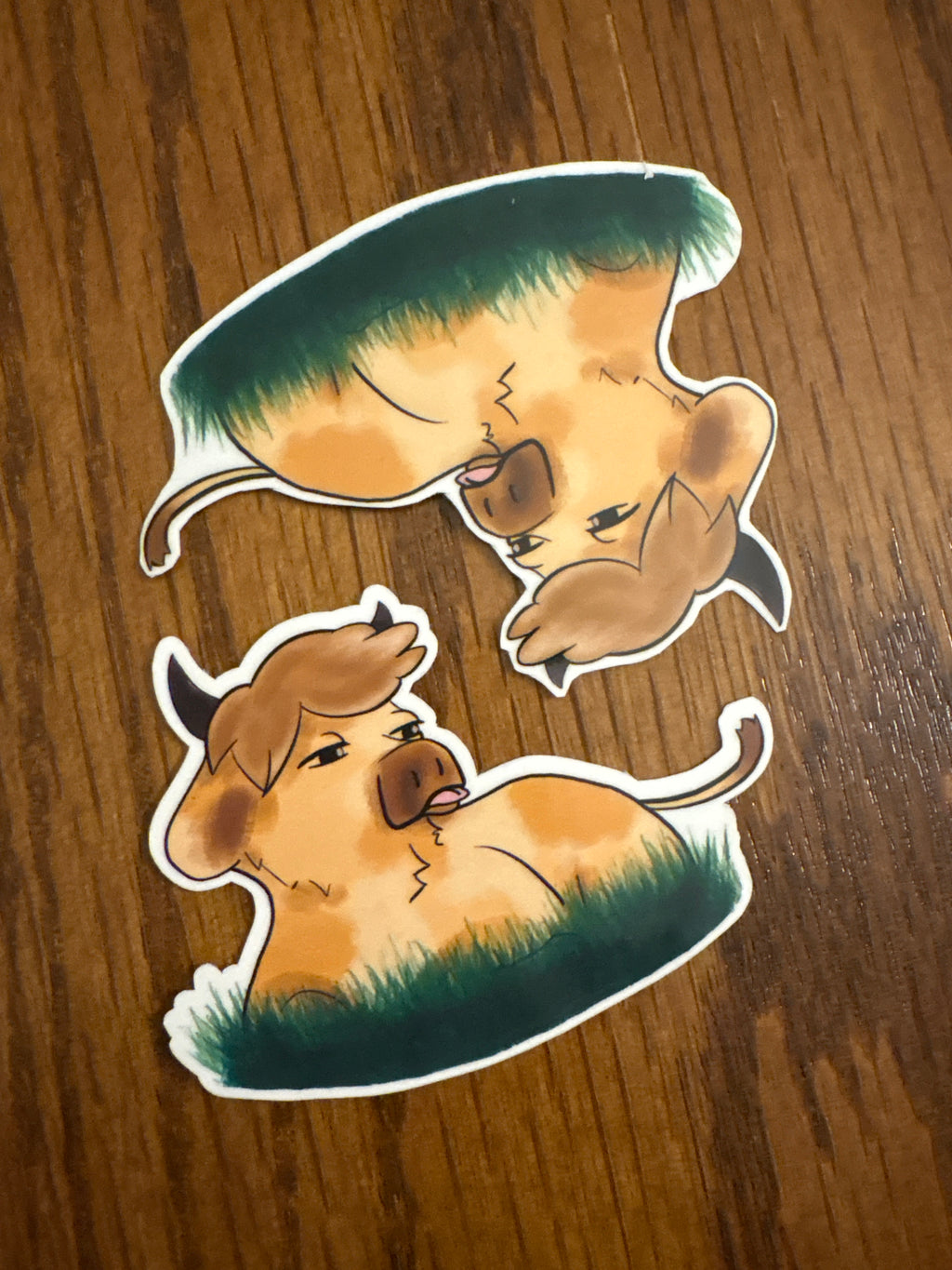 Betsy the Bovine - Premium Vinyl Decorative Sticker