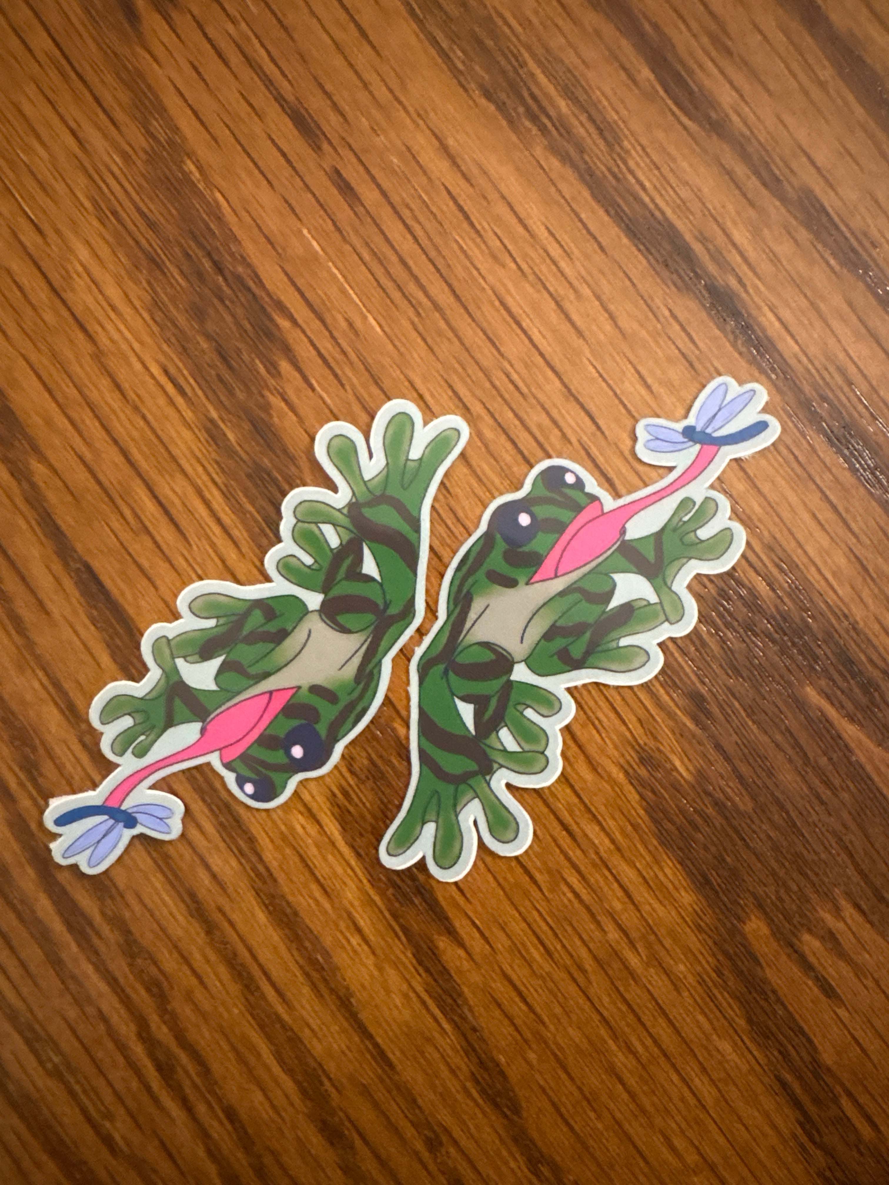 Dragonfly & Frog - Premium Vinyl Decorative Sticker