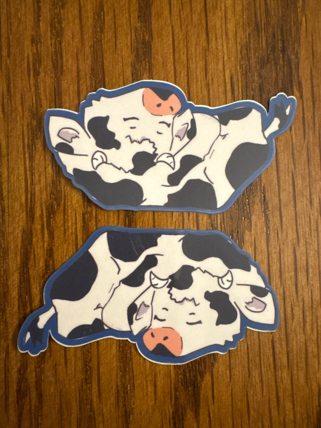 Sleeping Sarah - Premium Vinyl Decorative Sticker